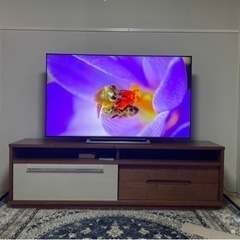 家具 収納家具 テレビ台