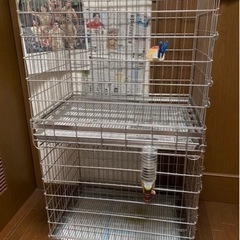 ペット　ゲージ　