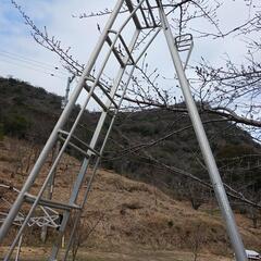 三脚脚立　10段