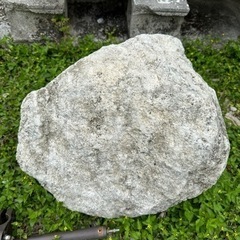 琉球石灰岩　力石