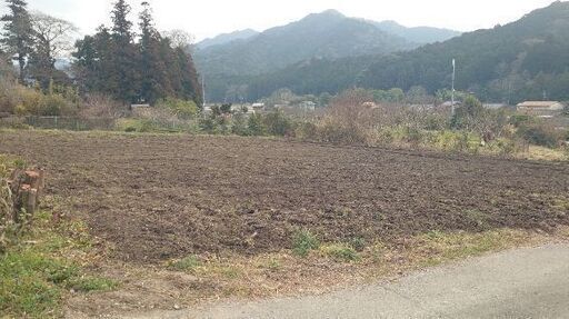 【付加価値付き『貸し農園』農業 野菜作り】年間利用料金 ☆あまりの楽しさに移住した方もあります❗詳しくは下記