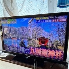 家電 テレビ 液晶テレビ【取引先決定】