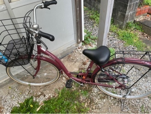 本日のみ新古品自転車