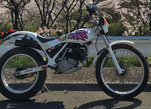 TLM220R MD23 自賠令和7年9月まで 林道 剣山スーパー林道ミーティング