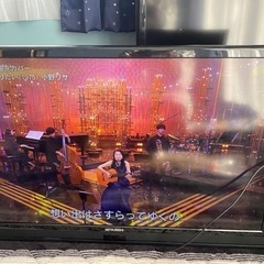 家電 テレビ 液晶テレビ