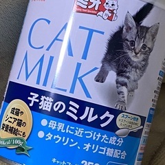 子猫の粉ミルク