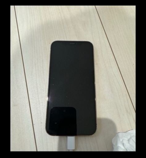 周辺機器 iPhone12 Pro 256