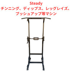 【良品】Steady チンニング、ディップス、レッグレイズ、プッ...