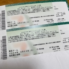 東京ドーム　オープン戦チケット2枚　3/23(土)巨人対楽天