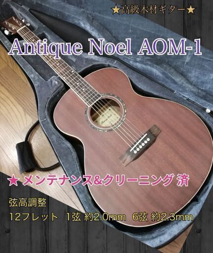 ◆希少な高級木材ギター◆ Antique Noel AOM-1