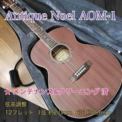 ◆希少な高級木材ギター◆ Antique Noel AOM-1