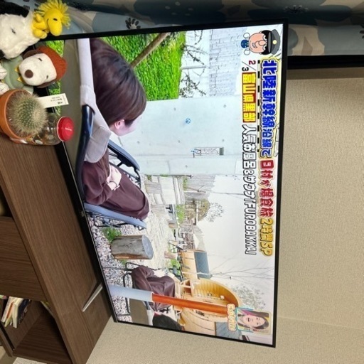 テレビ