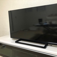 家電 テレビ 液晶テレビ