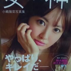 決まりました❗小嶋陽菜　写真集　中古ジャンク品