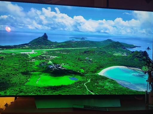 LG 55V 有機LE4Kテレビ
