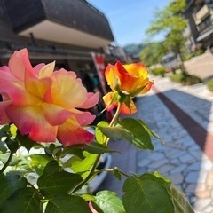 介護職グチ吐き出しちゃえ場所