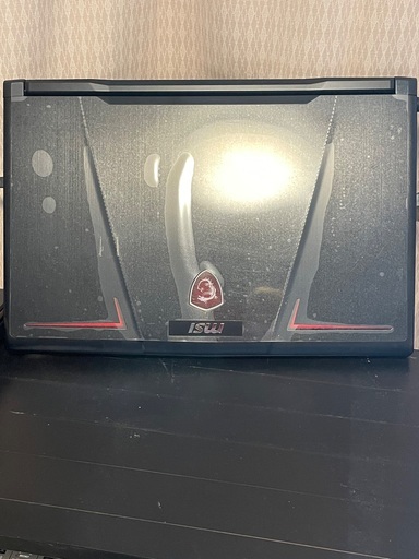 【中古】 MSI GP73 Leopard 8RD-666JP