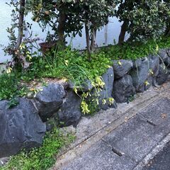 庭土　残土　要りませんか