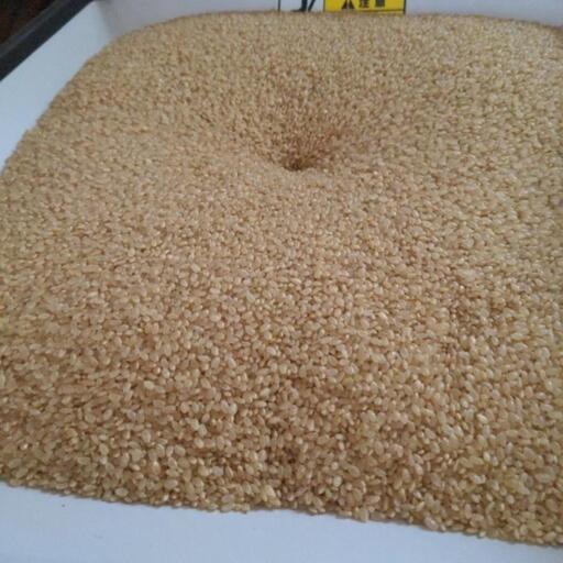 農家直送令和５年度産30キロ　残1袋