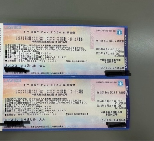 取引中】HY SKY スカイ フェス チケット 2024年