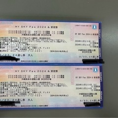 最安値　HYスカイフェス　24日大人入場チケット　2人分