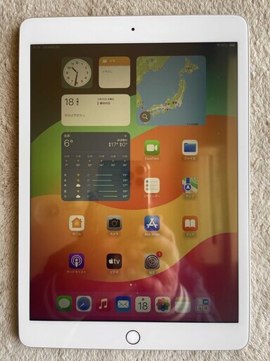 ipad 10.2インチ 第7世代2019 32GB silver WI-FI　バッテリー１００％