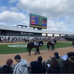 競馬観戦