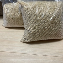 玄米　約5キロ