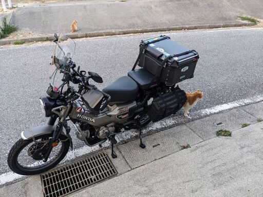 HONDA　CT-125（JA65）ハンターカブ