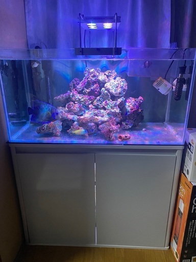 90cm熱帯魚水槽セット