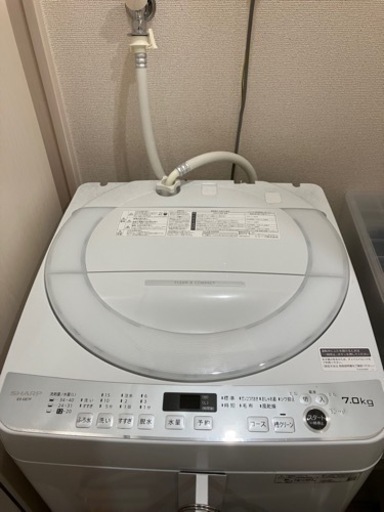 家電 生活家電 洗濯機