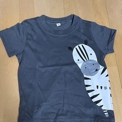 動物Tシャツ80