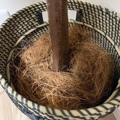 【超美品】ベンジャミン 造花 ツリー 