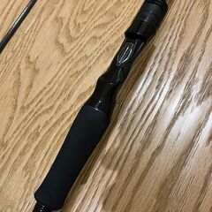 ダイワ ソルティスト 711MLB