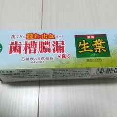 生葉　薬用　歯磨き