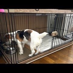 【終了】屋根付き　犬　ペットケージ　ペットハウス　ウッディサークル　
