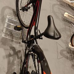 saimoto ストリングスb size 24