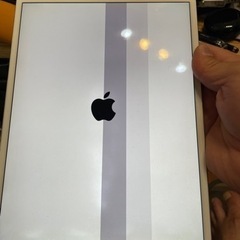 iPad Pro10.5 液晶難あり