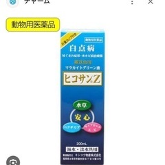 27日🉑無料魚用品