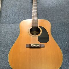 Voice Guitar W-200 - Azuma Iwase...