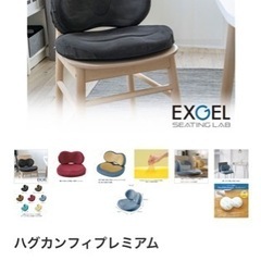 エクスジェル ハグカンフィプレミアム