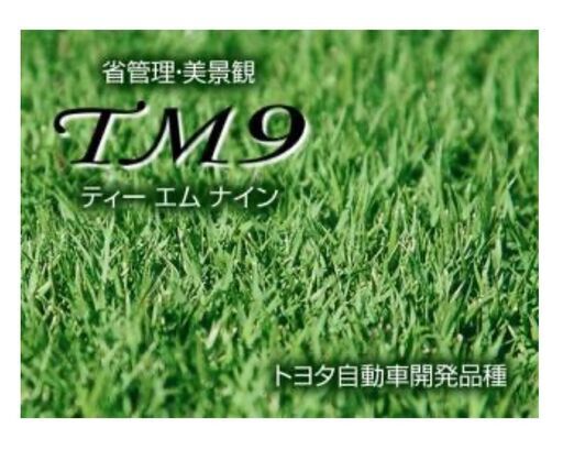 トヨタ自動車が開発した天然芝TM9 14束14㎡分 予定者決まりました！