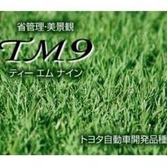 トヨタ自動車が開発した天然芝TM9 14束14㎡分 予定者決まりました！