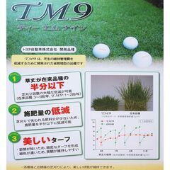 トヨタ自動車が開発した天然芝TM9 14束14㎡分 予定者決まりました！