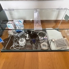 水槽※カメを飼ってました