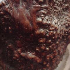 ずっしりとした重厚感 天然木 瘤 切り株 火鉢 木製 レトロ 工芸品 骨董品