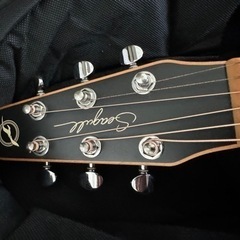 シーガル S6 Mahogany Deluxe SG A/E