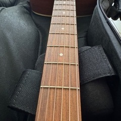 シーガル S6 Mahogany Deluxe SG A/E