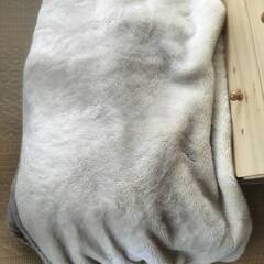 西川リビング  毛布