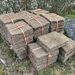 トヨタ自動車が開発した天然芝TM9 14束14㎡分 予定者決まりました！